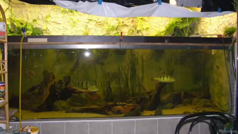 ??ber 4kw licht für einen Fototermin, das war noch viel zu wenig :-(