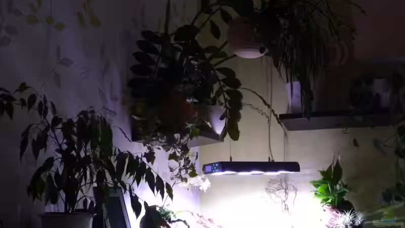 ??ber dem Becken 31.12.12 von Michel (40)