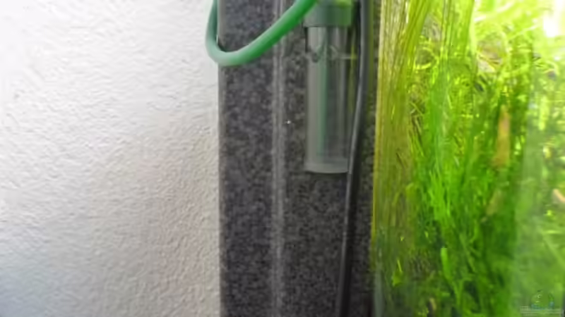 ??berbleibsel der Dennerle Bio Co2 Anlage von *Dominique* (20)