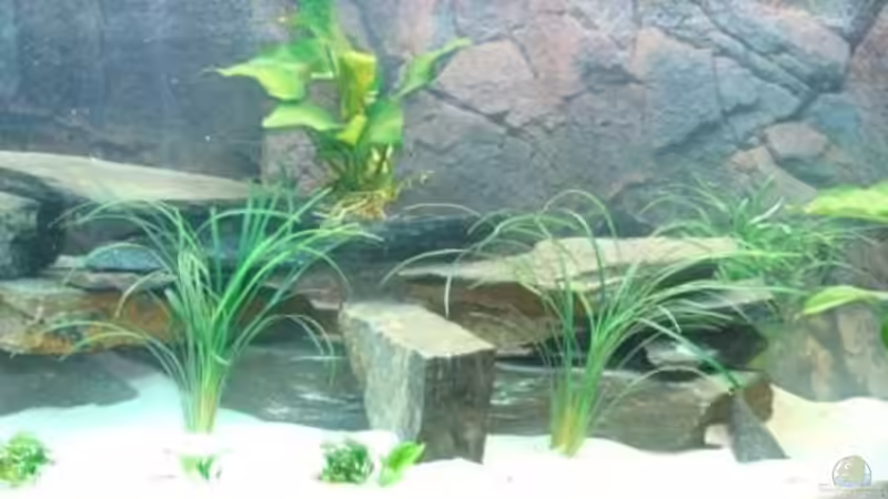 ??berblick von malawi74 (10)