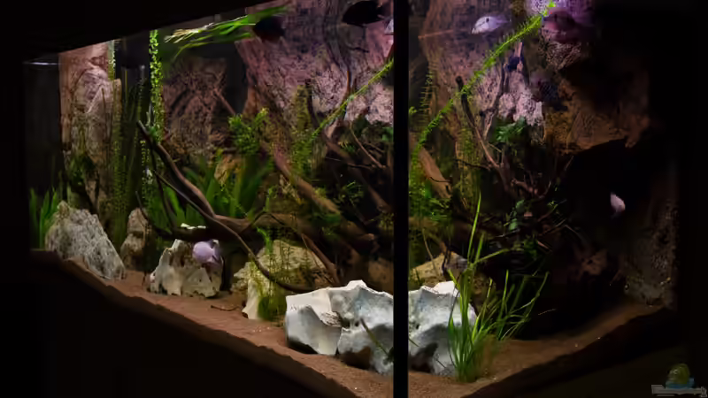 ??berblick von Rechts 16.06.2013 von GoreSlayer (17)