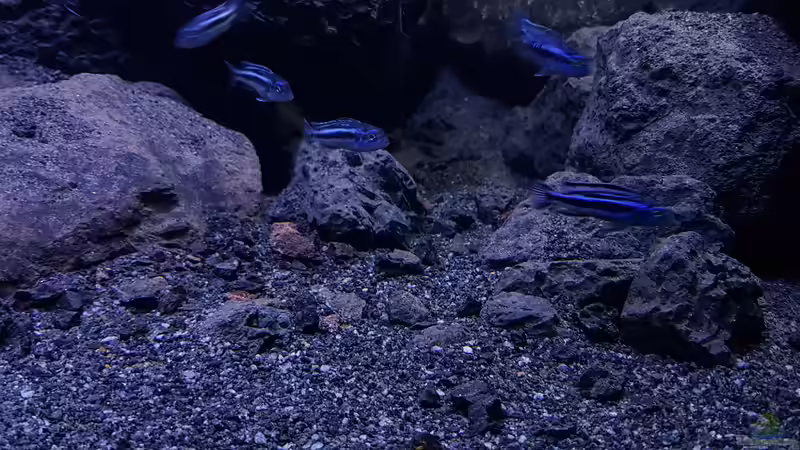 Bereich Boden Beckenmitte von Gernot (5)