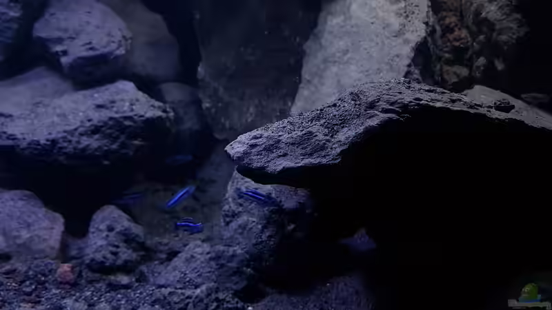 Bereich bodennähe rechte Beckenseite von Gernot (6)