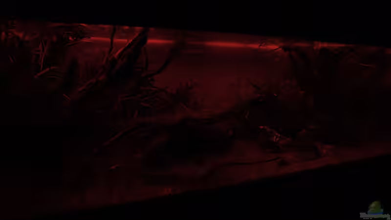 ??bergang ins Abendrot von OrangeBuschfisch (19)