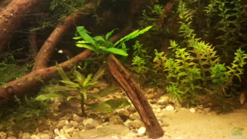 ??bergang Kies zu Sand von Michael Scheffler (29)