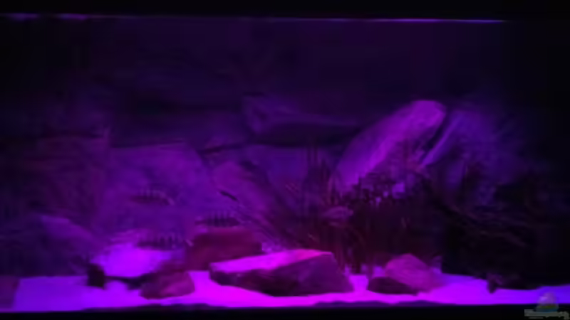 ??bergang vom Dämmer- zum Nachtlicht von TheToxicAvenger (25)