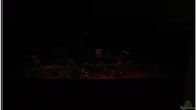 ??bergang von Mondlicht auf Sonnenaufgang 1 von Christian Zwick (27)