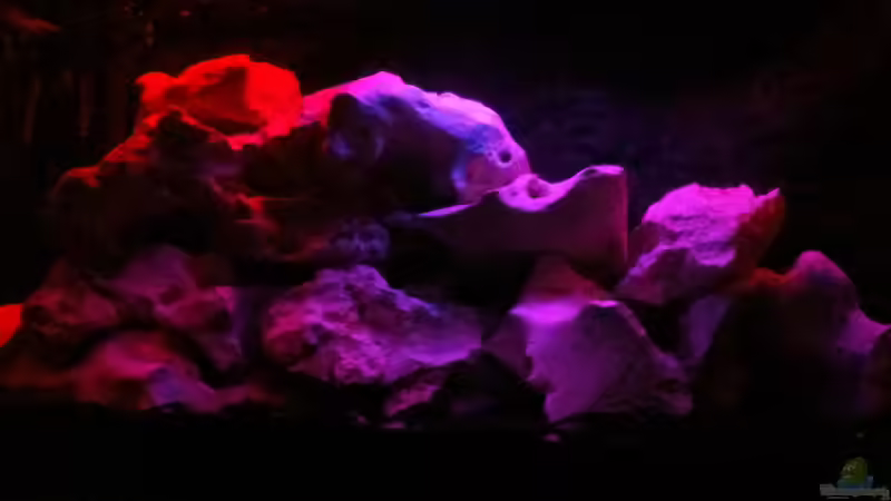 ??bergang von Tageslicht zu Mondlicht von Mueller76 (10)