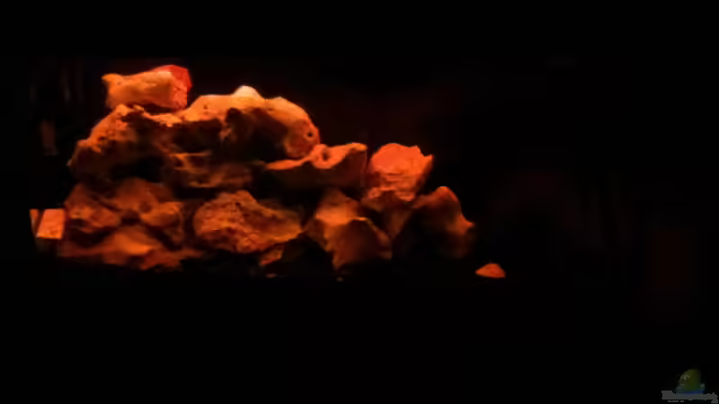 ??bergang von Tageslicht zu Mondlicht von Mueller76 (7)