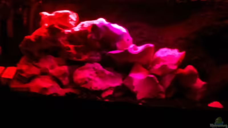 ??bergang von Tageslicht zu Mondlicht von Mueller76 (9)