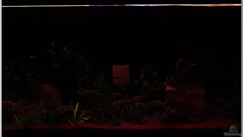 ??bergang zu Sonnenaufgang 3 von Christian Zwick (29)