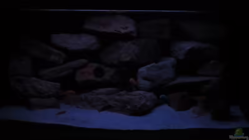 ??bergang zum Nachtlicht - 15.01.13 von aquamika (19)