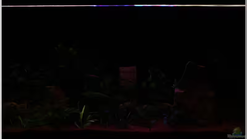 ??bergang zum Sonnenaufgang 2 von Christian Zwick (28)