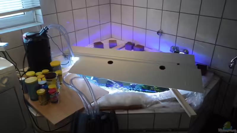 ??bergangsbecken ;-) von Michael Boeck (14)