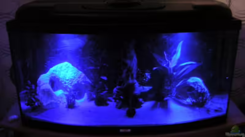 ??bergangsbeleuchtung von 9:00 bis 11:00 Uhr und 22:00 bis 1:00 Uhr. von André Förster (3)