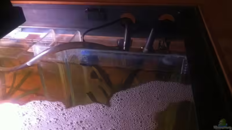 ??bergangslösung durch Mein Freund Ronny der mich zu einem Aquarianer Formte Danke von Alexander Alexander (10)