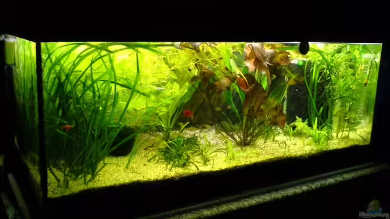 ??bergangszeit September´07 von Stefan R. (1)