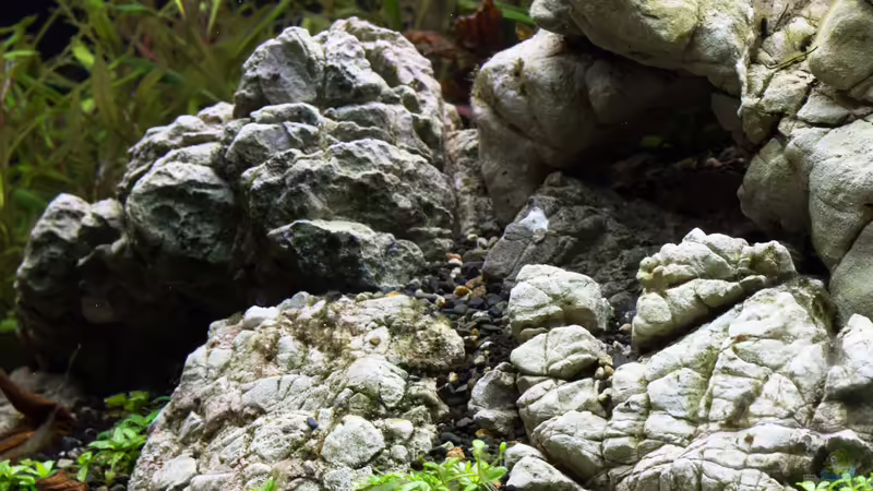 Berggestaltung - Leopardengestein 02.11.2013 von Koelle-Zoo (18)