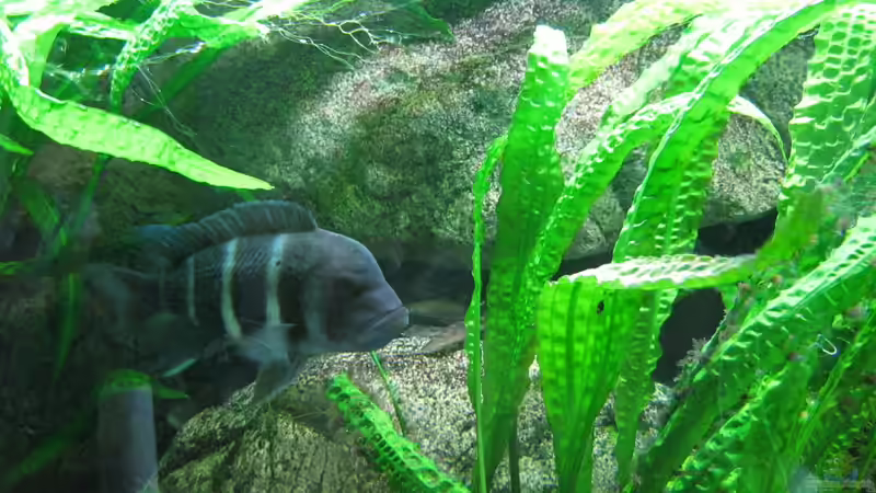 ??berhang von Michaela Krause (14)