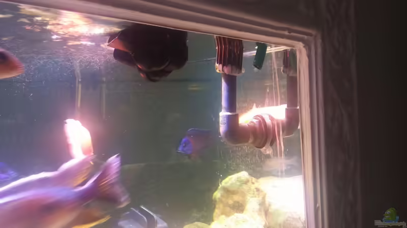 ??berlauf direkt zu kanalisation von Irzzz (22)