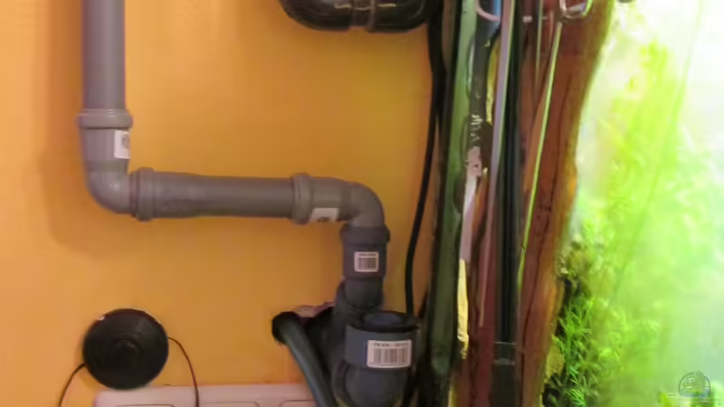 ??berlauf in den Kanal von Rene Zwirchmayr (20)