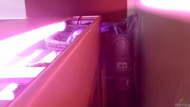 ??berlauf Marke Eigenbau von Amazonasbecken.eu (21)