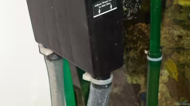 ??berlauf mit ab und zulauf   von Mario Dorner (25)