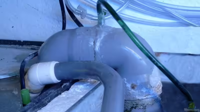 ??berlauf vom Aquarium zum Filter von Helgo Jacob (17)