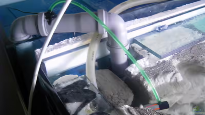 ??berlauf von Enrico Pinkert (8)