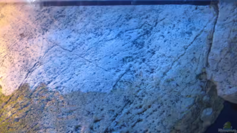 ??berlauf von Simmal (12)