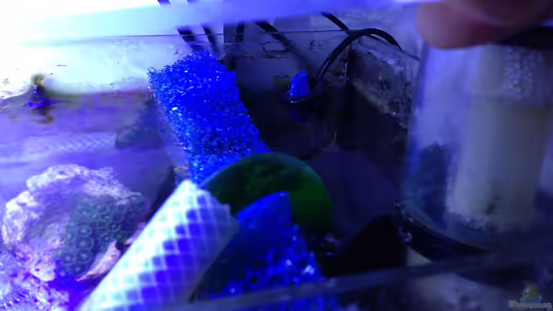 ??berlauf von Traum-Hobby.de (8)