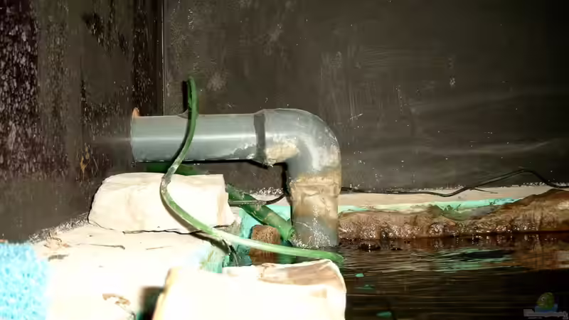 ??berlauf zum Filter von Martin Fabick (9)