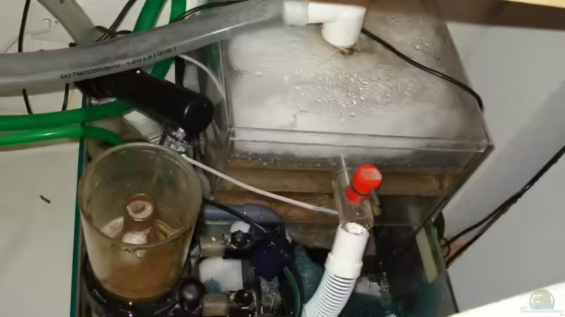 ??berlaufbecken 500x500x300 +Abschäumer, UV- Klärer, Rieselfilter von Mario Dorner (26)