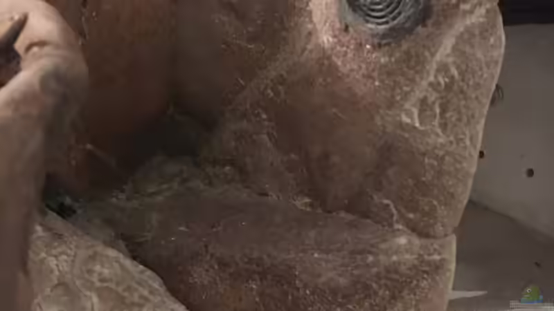 ??berlaufkamm und Einlauf in die Schlammkammer von Hedylein (8)