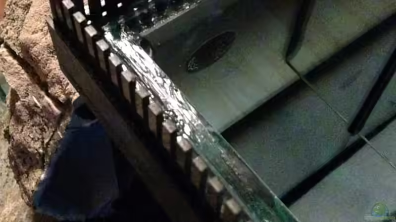 ??berlaufschacht vom noch leeren Becken. Unten links sieht man eine der ??ffnungen in den Modulen.  von TheToxicAvenger (22)