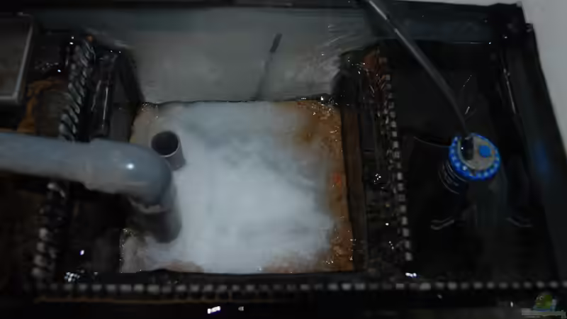 ??berlaufschacht von Daniel Monney (9)