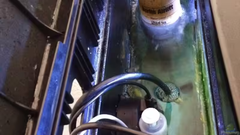 Berlin Airlift 60-Tunze Osmolator - Grotech tec1 für KH- Tunze 6025-Tunze Silence von Christopher Schoener (7)