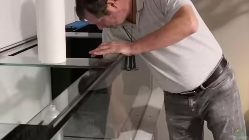 Bernd hier beim einkleben der Streben auf die Silikon Nähte der Bodenscheibe von Florian Bandhauer (41)