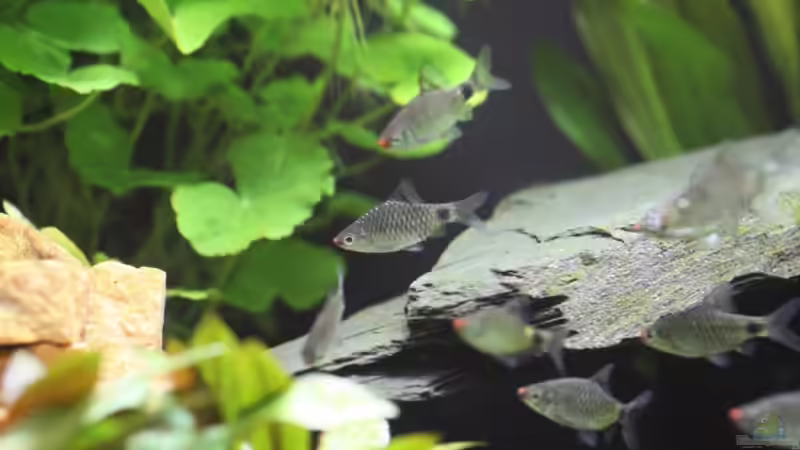 ??bersicht... von 77Markus (6)