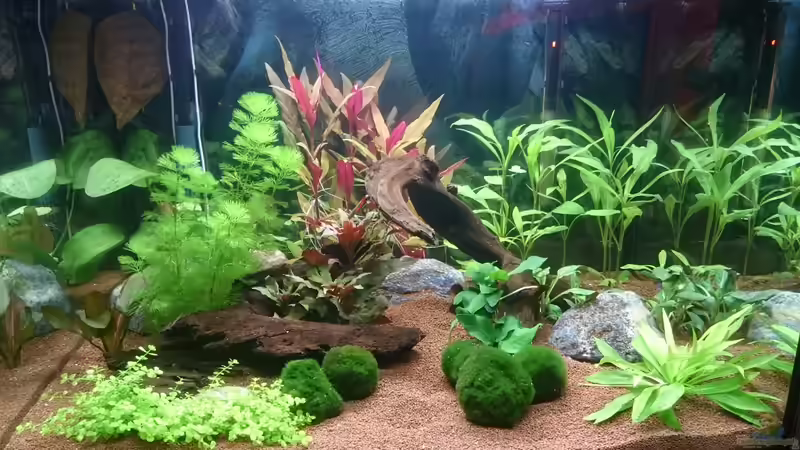 ??bersicht 04.01.2016 von kNaLLeR (7)