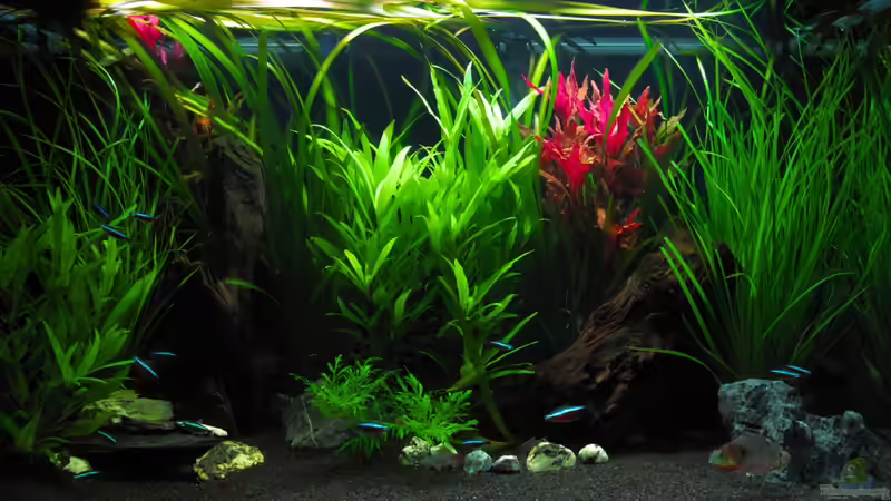 ??bersicht 2 von bluezone (3)