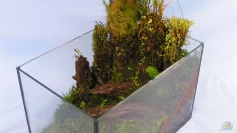 ??bersicht 4.2.2011 von Bojo (5)