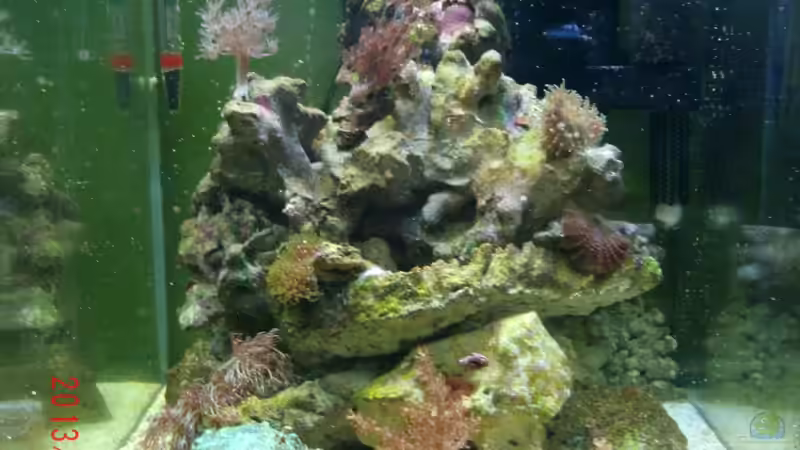 ??bersicht Stand 02.13 von Jademeister (1)