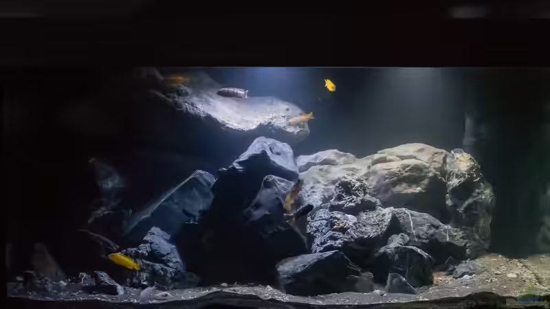 ??bersicht von 77Markus (2)