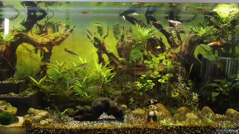 ??bersicht von kielerteam (1)