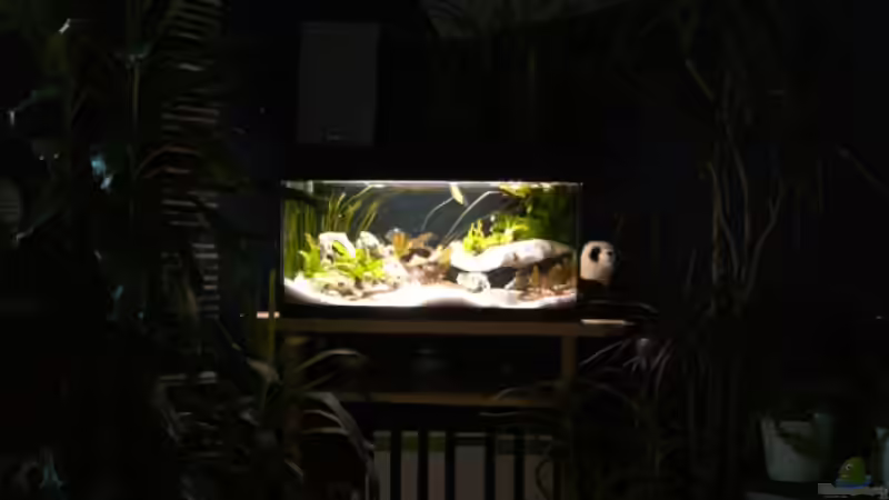 ??bersicht von Stefan Anhalt (5)