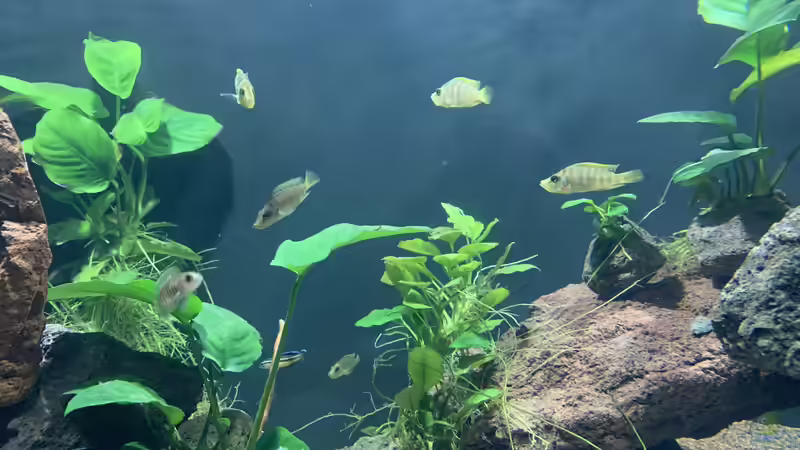 Besatz 01 von KLu_69 (9)