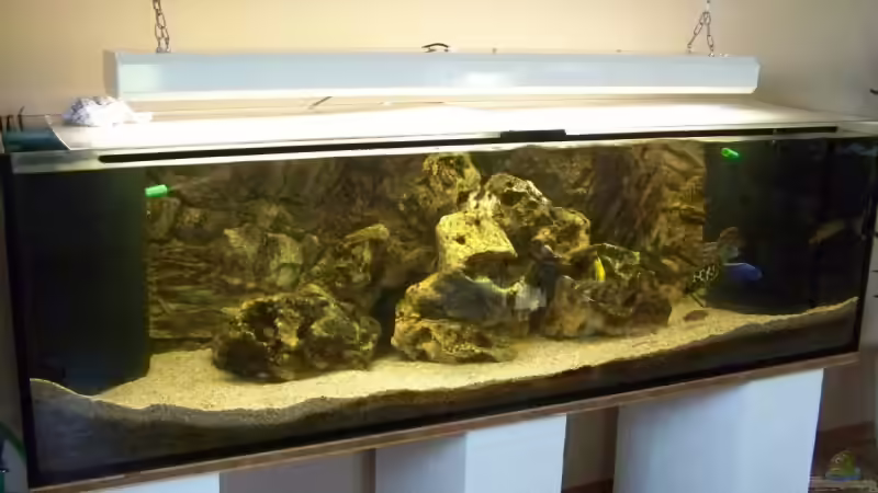 Besatz im Aquarium Becken 10655 von Christian Hurm (5)