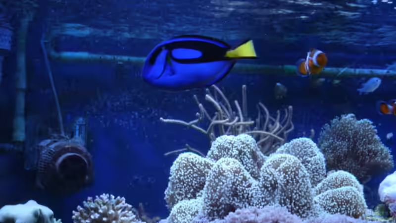 Besatz im Aquarium Becken 1604 von Axel Hierholzer (9)