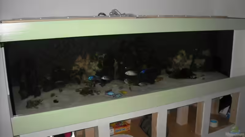 Besatz im Aquarium Becken 18312 von Herbert (27)